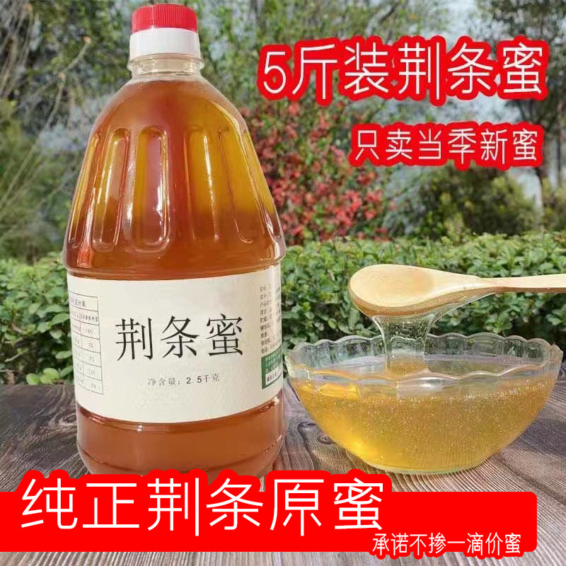 得蜂苑荆条蜜5斤装蜂蜜天然正品原蜜成熟蜜蜂场直供散装百花