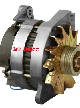 JFWZ15X-2发电机 无刷交流启动 14V500W供应各型号淄博永泰马达