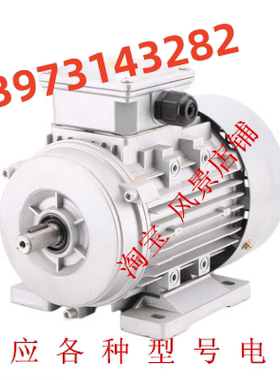 T40356H1电动机Hydro-TeK供应各种液压升降剪叉举升车交流马达