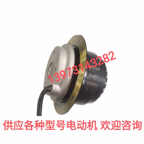 RHA450D4.138B-2FT电动机施洛依