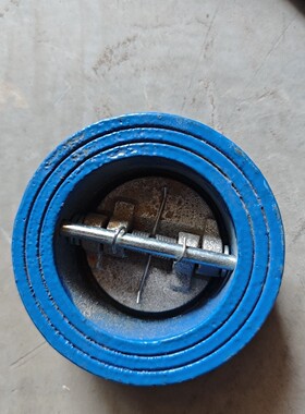 对夹式止回阀一个,蓝色铸铁,DN50,PN16,现货实物拍摄