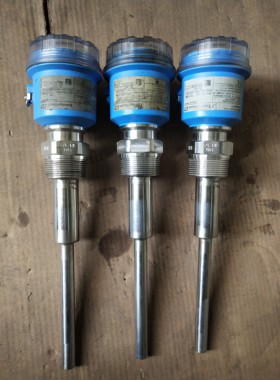 德国E+H Soliphant T FTM20-AG42A液