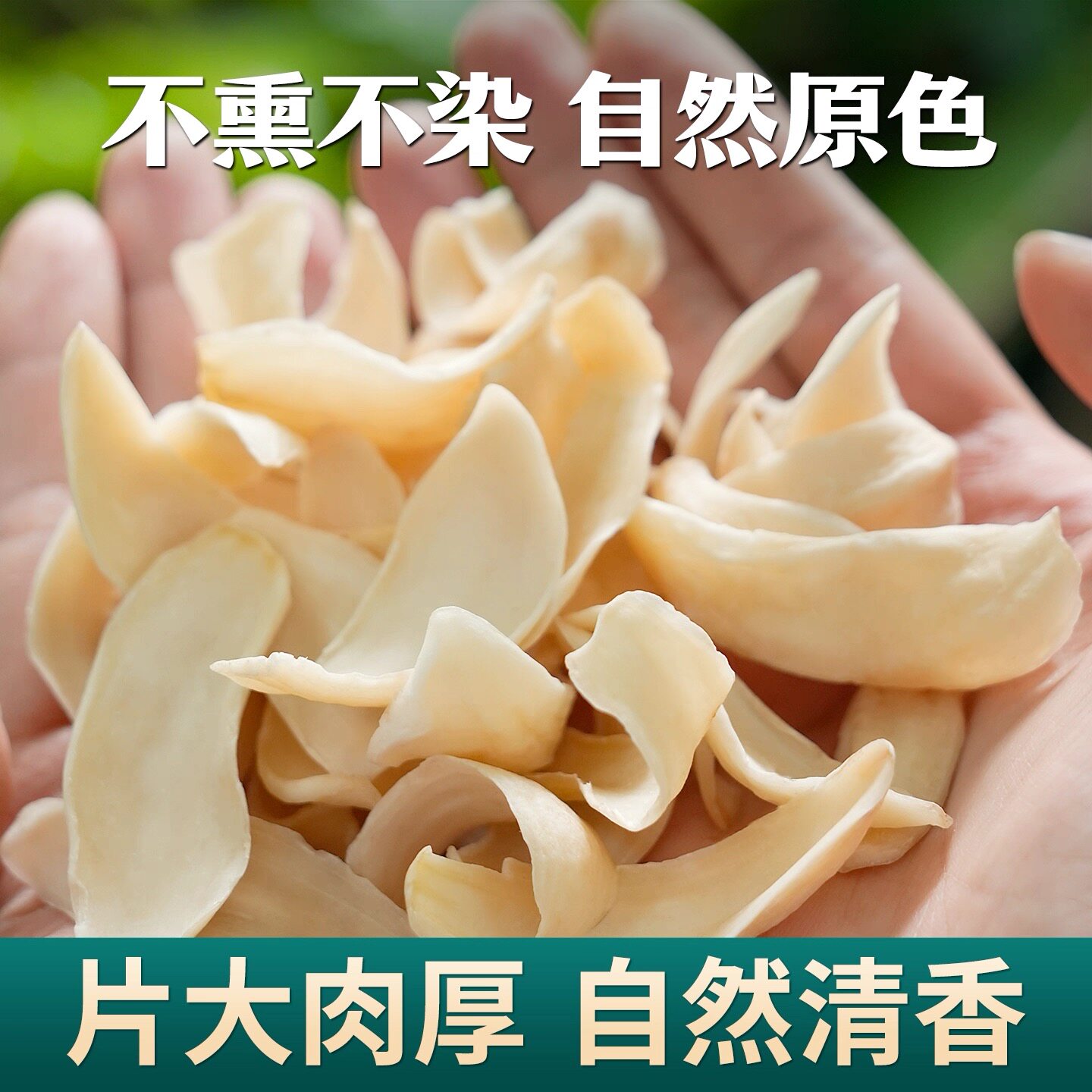 湖南隆回龙特级大片无硫百合干