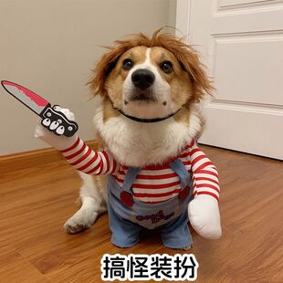 搞怪宠物衣服狗狗带刀变身装泰迪柴犬猫咪小中大型犬可爱装扮服饰