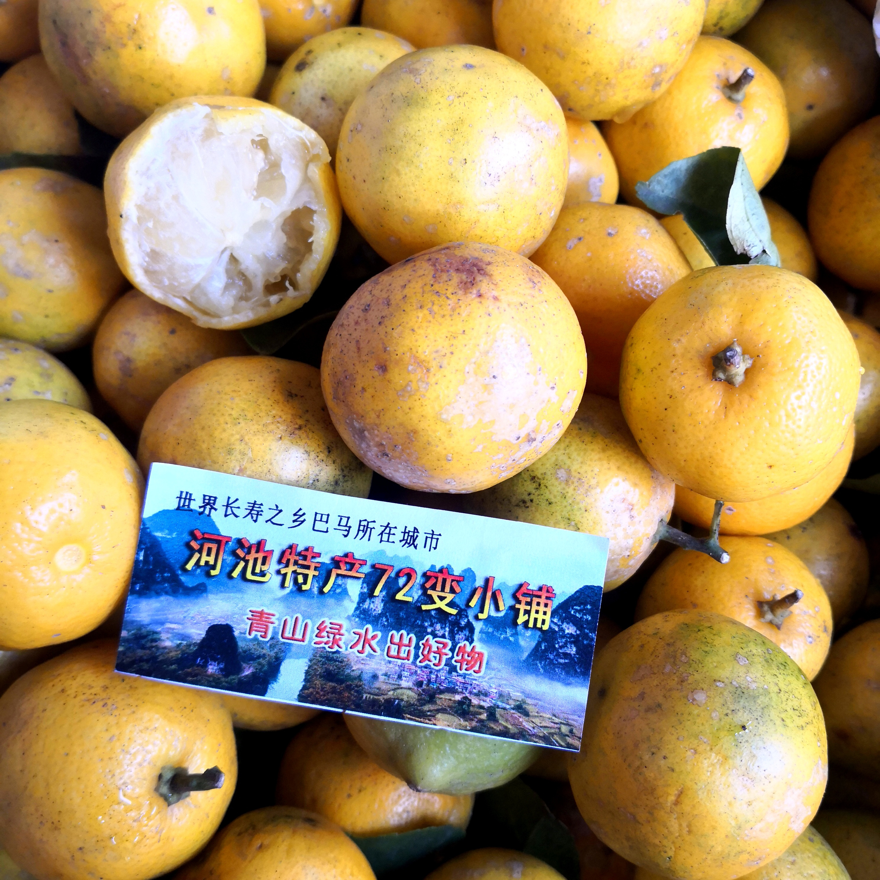 世界寿乡巴马河池野生柠檬酸小个绿水青山特产地直销1斤　5斤包邮