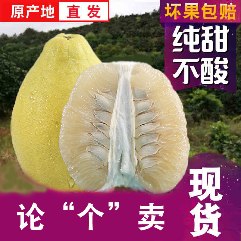 【按个数卖】广东梅州老树沙田柚薄皮小果甜柚小柚子迷你果实惠装