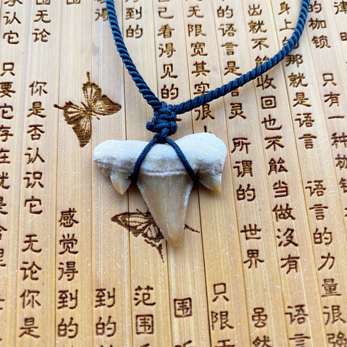 正宗黑赤鱬牙 可做吊坠 石碑福袋 结印册 添加结印单独收费