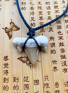 正宗黑赤鱬牙 可做吊坠 石碑福袋 结印册 添加结印单独收费