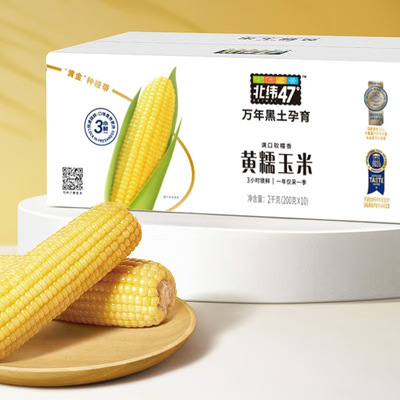 北纬47度黄糯鲜食玉米200g*10穗东北黑龙江玉米真空包装苞米棒