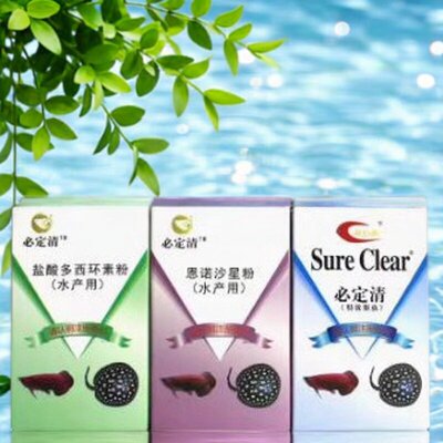 必定清驱虫龙鱼多功能疾病治疗魟鱼水族观赏鱼杀菌专用灭菌内外寄