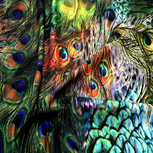 进口印花面料 墨绿色底彩色孔雀屏风印花 不透柔软化纤布料 裙子