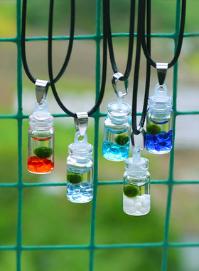 幸福海藻球marimo旅行装迷你植物随身生态瓶小球藻微景观创意礼物