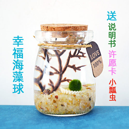 治愈系情绪解压球藻植物萌系物语