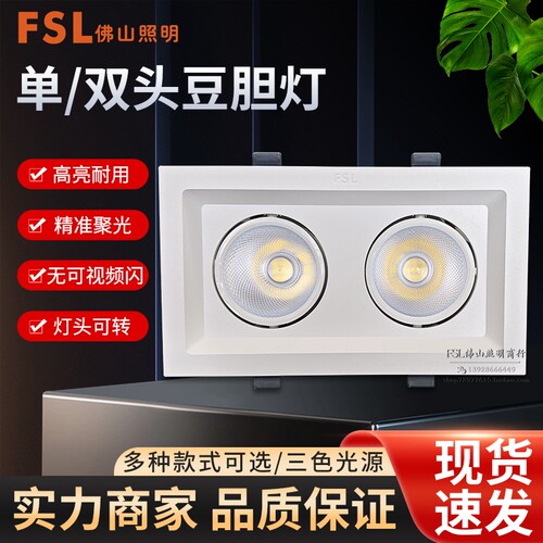 佛山照明单双头LED斗胆灯嵌入式