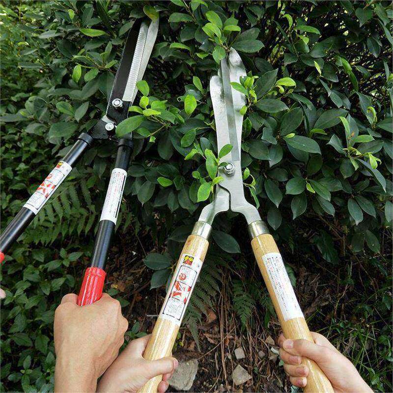 园艺剪刀伸缩长柄园林果树高枝绿篱剪修枝剪草坪剪SK5省力篱笆剪