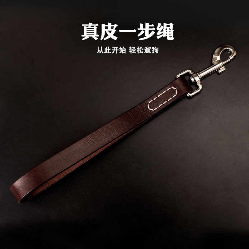 宠物牵引绳拉布拉多金毛防爆冲一步绳小中大型犬脖圈项圈大狗遛狗