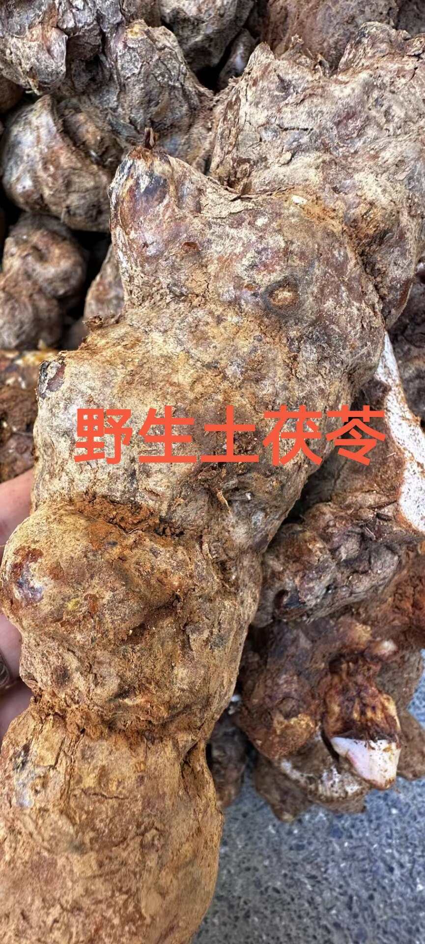 广东粤北正宗野生土茯泡茶苓煲汤首选去湿硬饭头