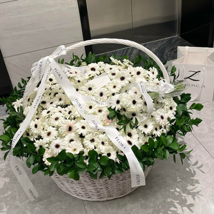 青栲子《可爱小弗朗》玉镜小弗朗超大号花篮北京上海成都鲜花同城