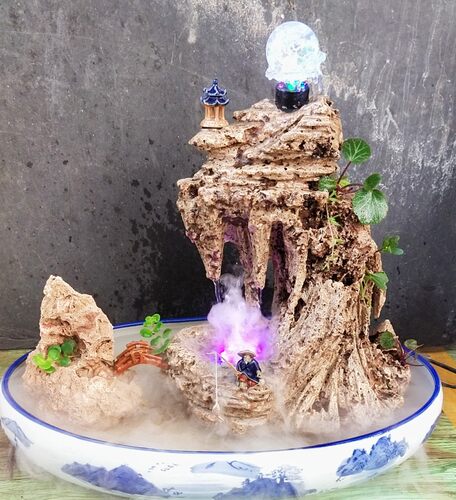 精品吸水石小假山盆景吸水石头花盆上水石鱼缸鱼池造景吸水石植物 - 封面