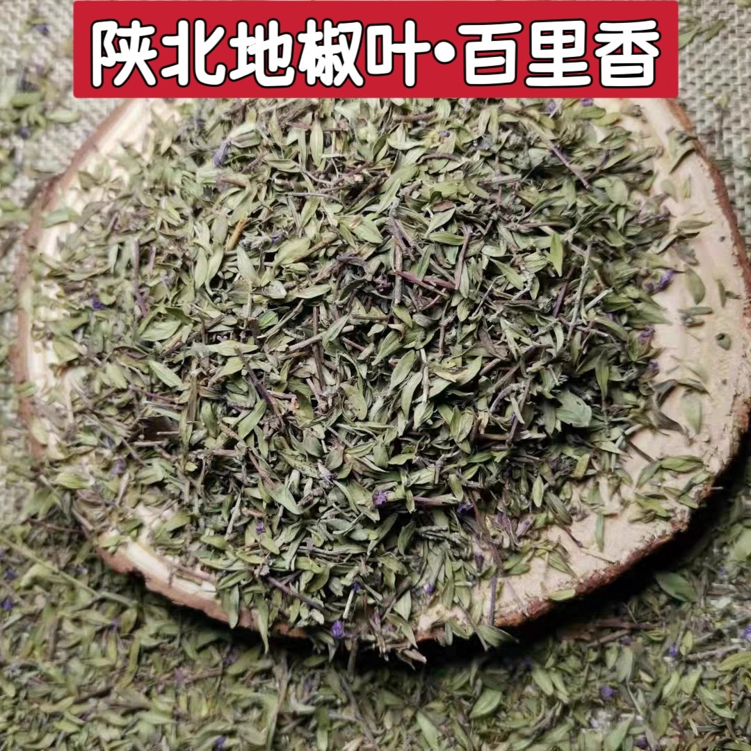 中药材百里香 百里香草 地椒 地椒叶正品质量 新货