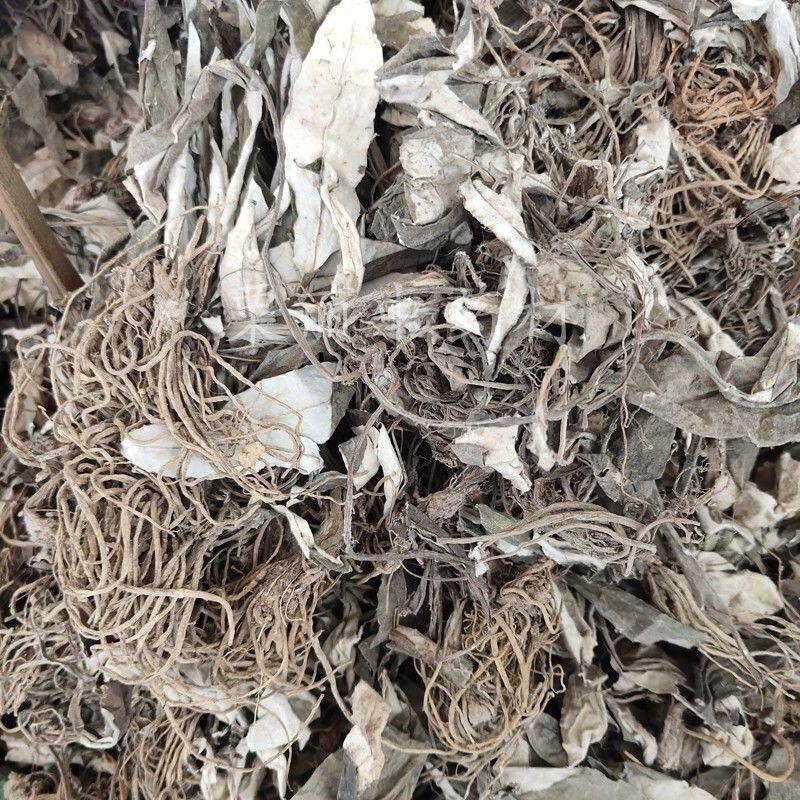 中药材白眉草 一枝香四皮香贴地香黑眉草