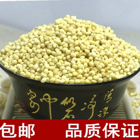 北黍米谷子谷米北秫米中药材术米小米粥食用藜麦米特价