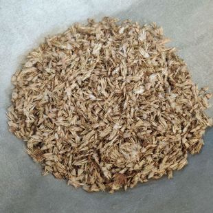 中药材 漏芦花 漏芦花 狼头花 野兰 鬼油麻 龙葱根包邮