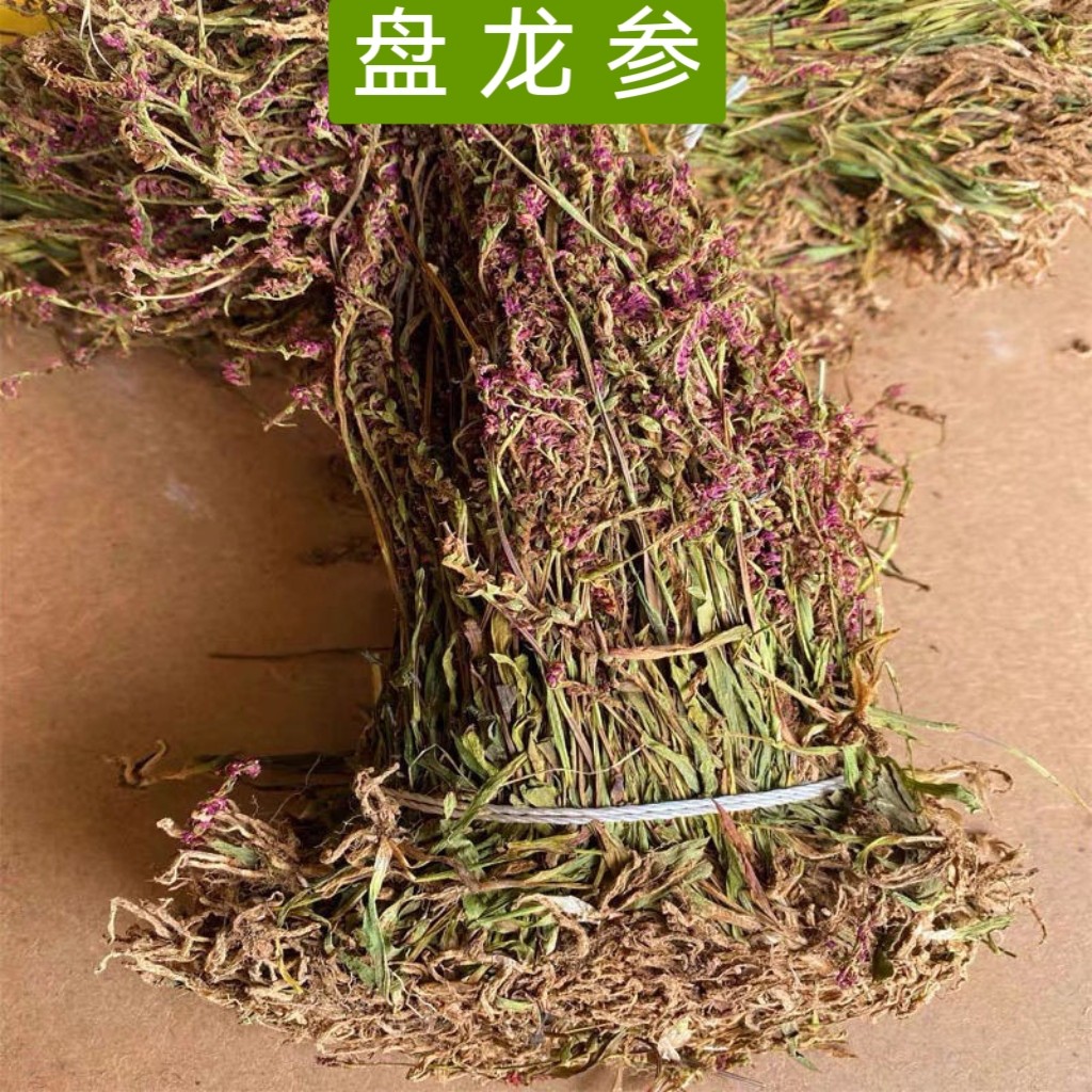 中药材 野生盘龙参 海珠草 镰刀草 鲤鱼草