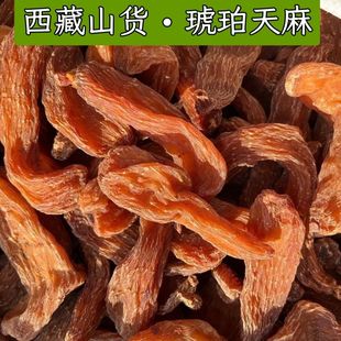 【琥珀天麻】西藏波密高海拔山货