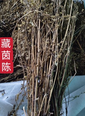 西藏野生藏茵陈正品整株中药材护肝苦胆草