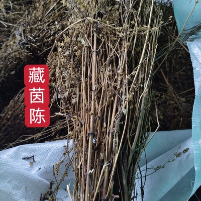 西藏野生藏茵陈正品整株中药材护肝苦胆草