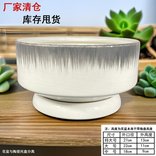 陶瓷大号花盆简约奶油风蝴蝶兰