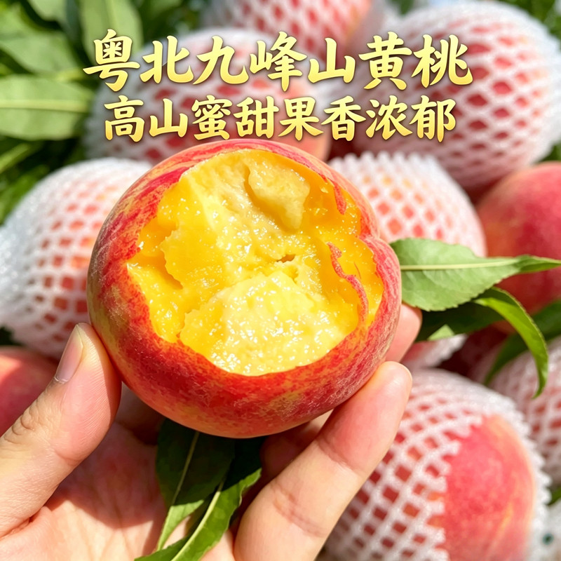 广东韶关九峰山黄桃子新鲜水果脆桃当应季礼盒装大特果整箱2500g