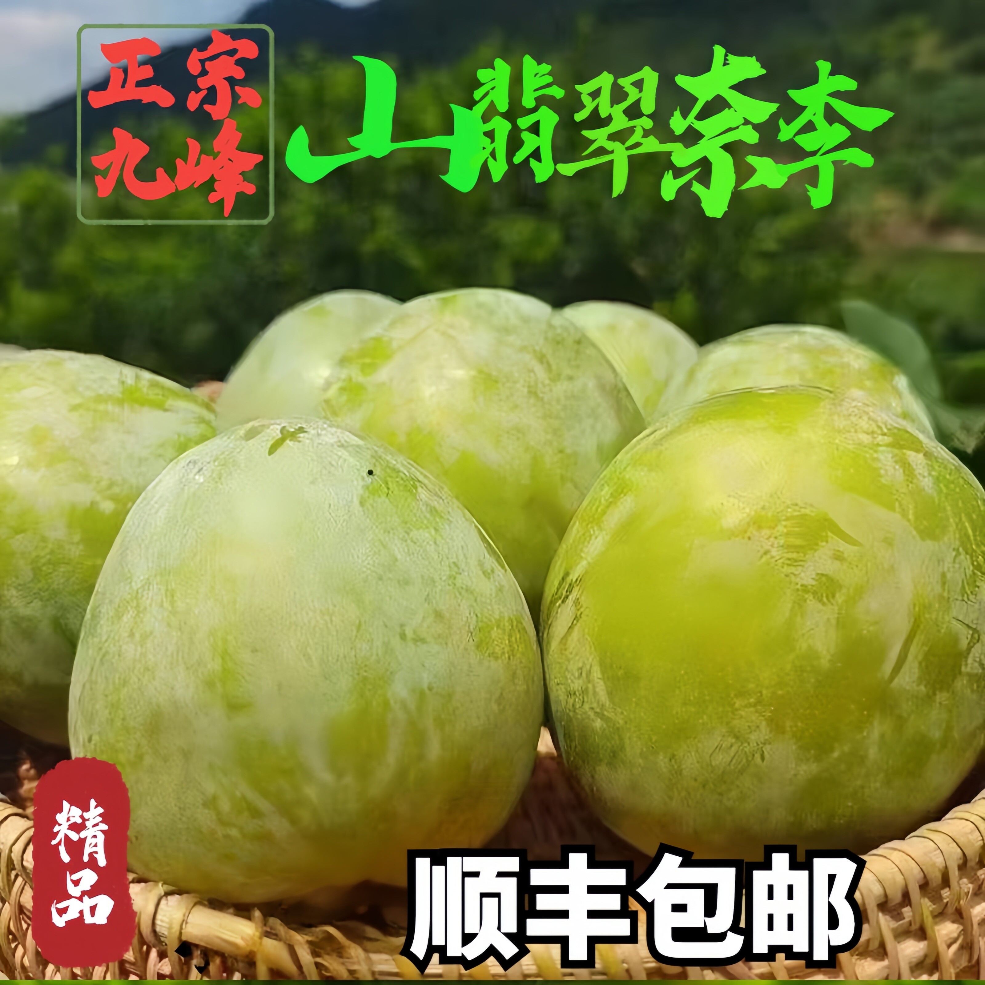 广东韶关乐昌九峰山黄金奈李绿宝石翡翠青李子脆甜当季新鲜水果