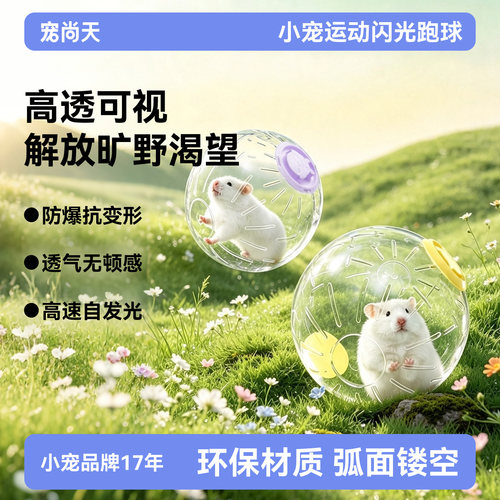 宠尚天仓鼠玩具跑球配外带绳
