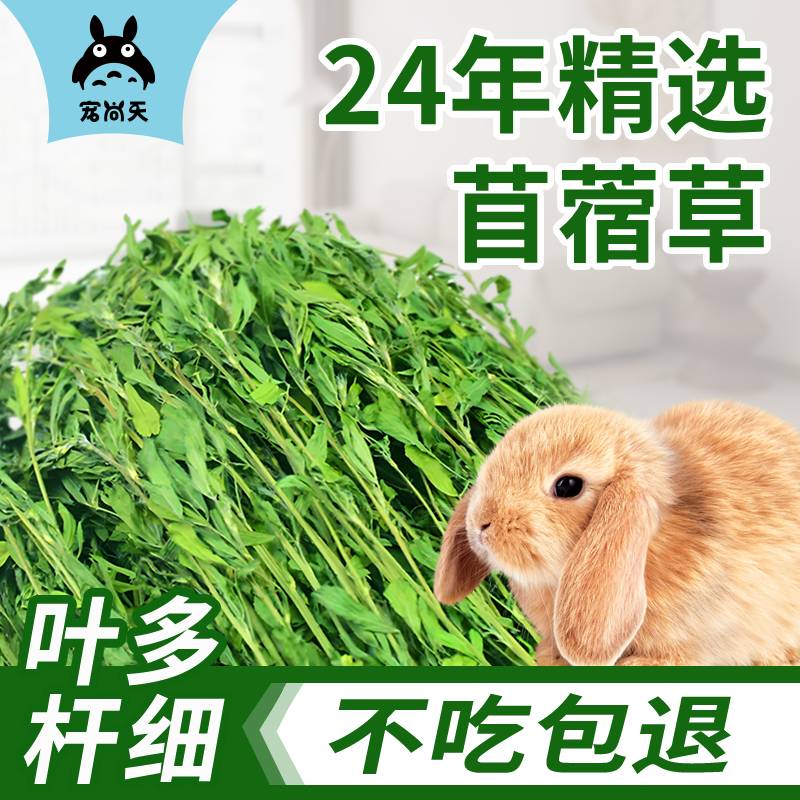 24年头茬苜蓿草兔子饲料兔草兔粮