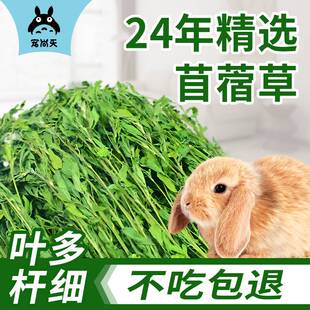 宠尚天新烘干紫花苜蓿草兔子干草料荷兰猪龙猫粮食幼兔饲料兔粮吃