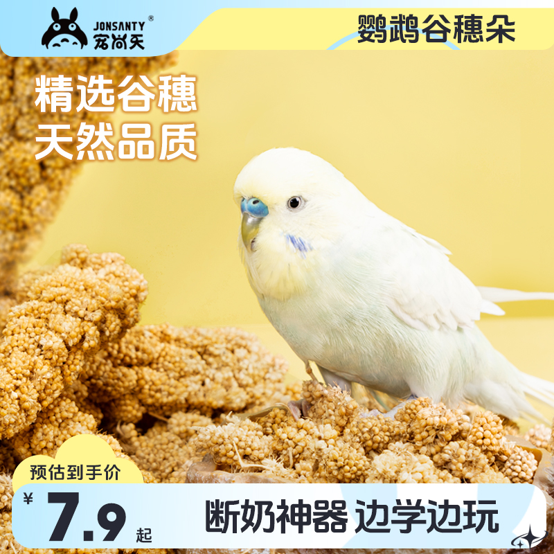 宠尚天鹦鹉零食黄谷穗辣木叶磨牙棒虎皮玄凤牡丹训练奖励食物用品