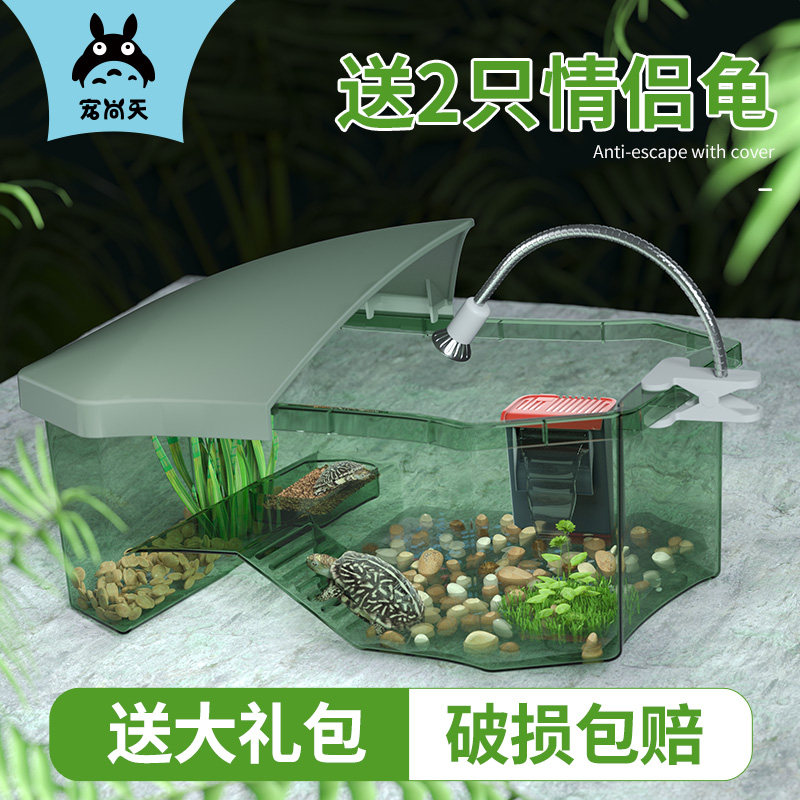 速发乌龟缸送赏只小乌龟活物龟中华草龟观2龟水龟