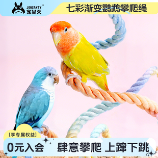 宠尚天鹦鹉玩具攀爬绳站杆秋千虎皮玄凤牡丹专用爬梯棉绳鸟笼用品