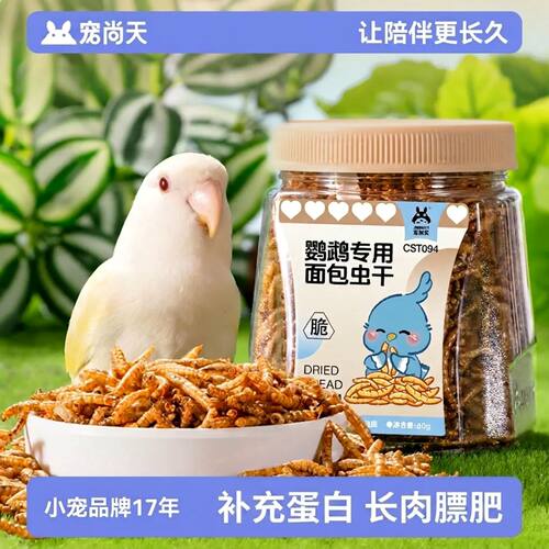鹦鹉专用面包虫干补充蛋白零食