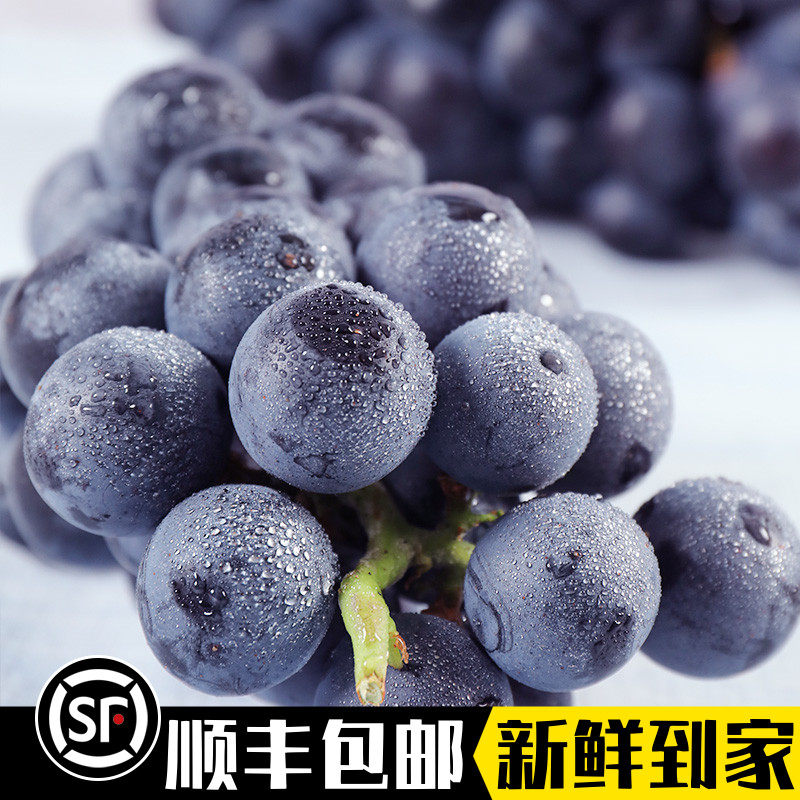 云南夏黑无籽葡萄 黑加仑新鲜水果非晴王玫瑰提子顺丰5斤整串发货