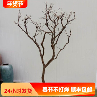 干树枝干枝卧室树干装饰 枯枝白树枝树杆酒店会所摆放隔断设计木