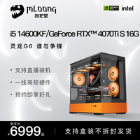 名龙堂i5 14600KF/RTX4060Ti/4070S/Ti 台式电脑主机直播电竞游戏兼容机高颜值拼色海景房DIY主机