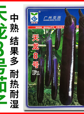 亚蔬天龙8号中熟长茄子种籽深紫色油亮茄子种子大田春秋蔬菜种孑