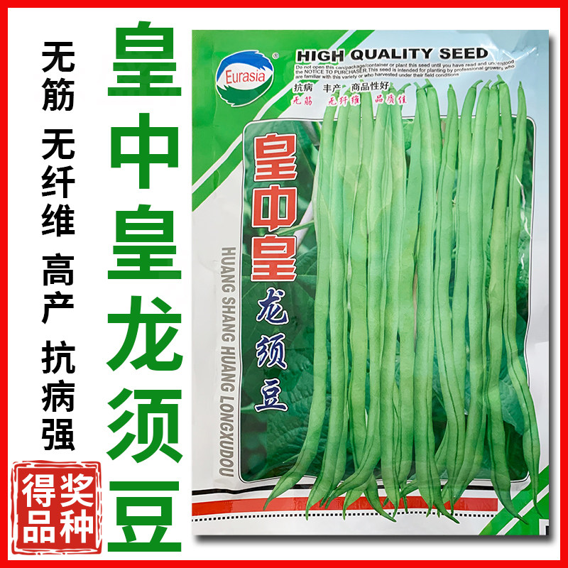 科田皇中皇龙须豆菜豆种子粗圆厚肉高产四季豆种籽玉豆种蔬菜种孑