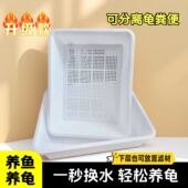 升级加厚双层猫砂盆 蛋龟育苗专用育苗 乌龟发色隔离盒菜盆沥水篮