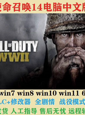 使命召唤14二战PC电脑单机中文版全剧情COD14 免steam