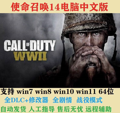 使命召唤14二战PC电脑单机中文版全剧情COD14 免steam