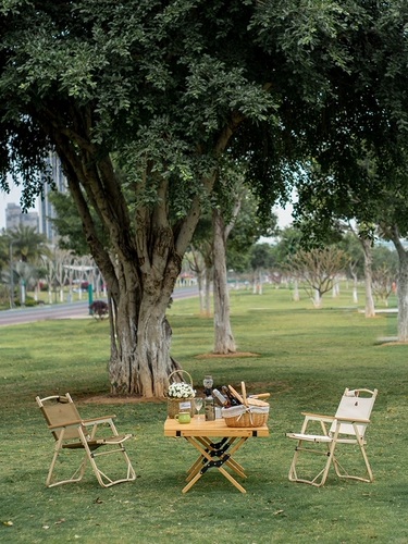 Санфенг на открытом воздухе Kmit Стул Портативный задний стул с твердым деревом яиц складной стол стул Dewy Camp Picnic Self -Driving Tour